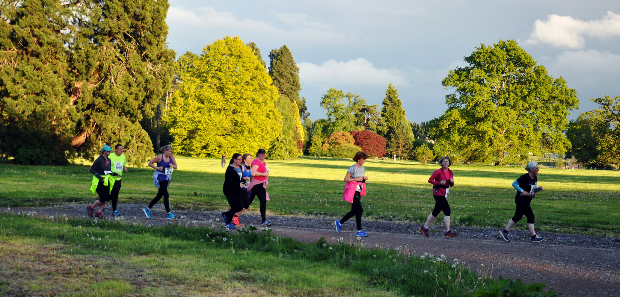 Westonbirt 10K Support Us Friends of Westonbirt Arboretum
