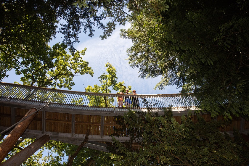 STIHL Treetop Walkway