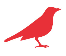 bird.png