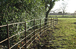 Post restoration iron railings