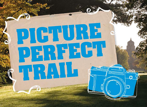 Picture Perfect Trail
