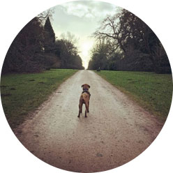 #westonbirtwalkies #westonbirtwalkies
