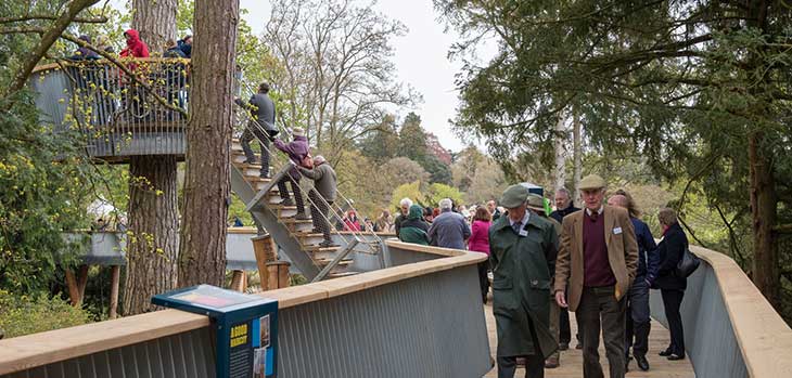 The first donors make their way across the STIHL Treetop Walkway