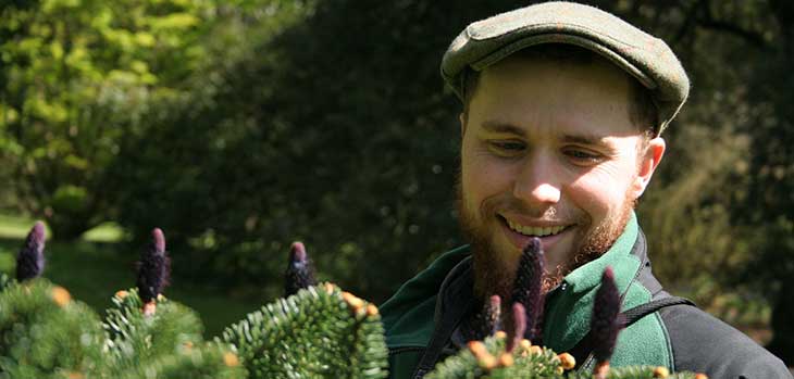 Dendrologist Dan Crowley admiring Abies delavayi Dendrologist Dan Crowley admiring Abies delavayi