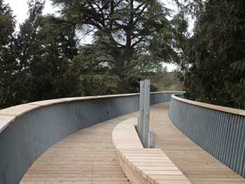 A bench on the Treetop Walkway A bench on the Treetop Walkway