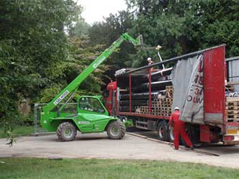 Legs being lifted out of the lorry