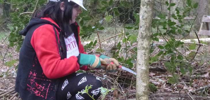 Coppicing in Silk Wood Coppicing in Silk Wood