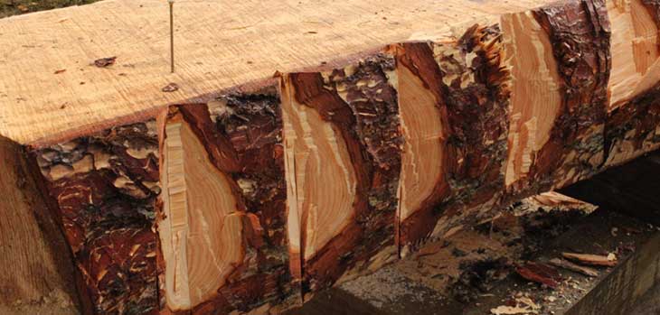 Notches during the hewing process Notches during the hewing process