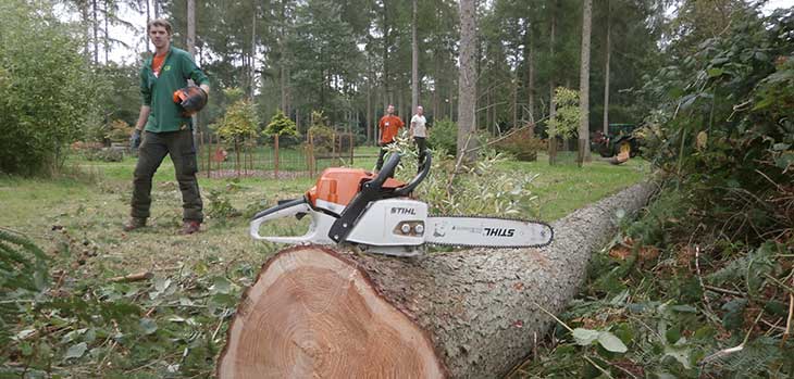 ach felled tree will form part of the timber frame for our brand new Tree Management Centre