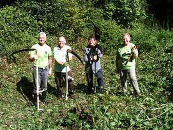 Estate volunteers