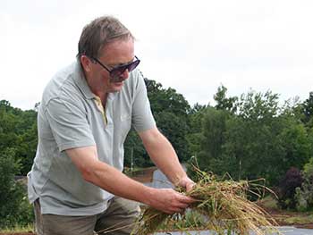 Volunteer strewing