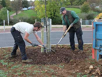 Mulching Mulching