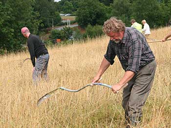 Scythes and Sickles