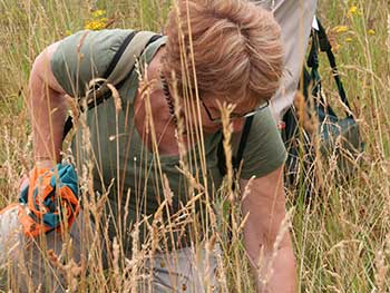 Volunteers doing a species survey