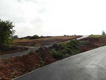 The footpaths from the Welcome Building and the new car park which will lead visitors to the Plant Centre.