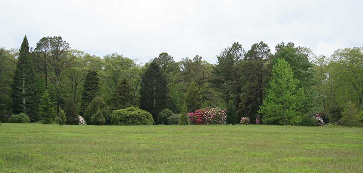 Polly Hill Arboretum Polly Hill Arboretum