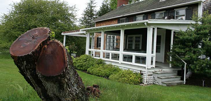 The house where Polly Hill lived - now a library