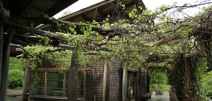 The visitor centre at Polly Hill Arboretum