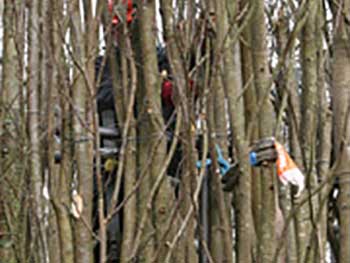Attaching the branches to the structure Attaching the branches to the structure