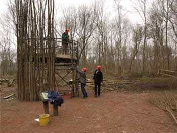 Richard Harris moves a stem into place