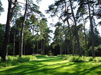 Lime Avenue at Westonbirt Arboretum credit Jane Gifford