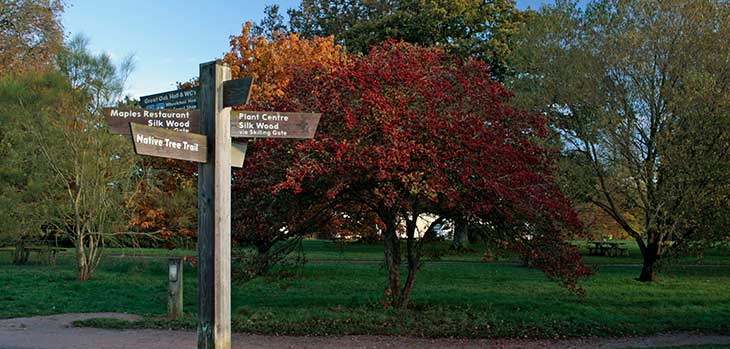 A sign post amongst the autumn trees A sign post amongst the autumn trees