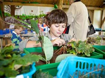 Young Plant Hunters' Academy crafts