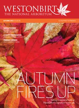 Autumn cover