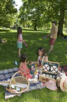 Picnic area Picnic area