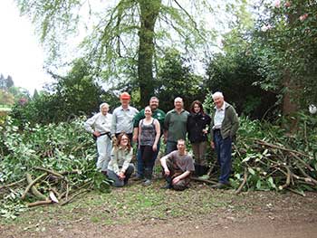 Pile of laurel