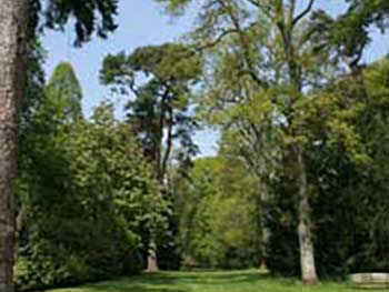 View Savill Glade View Savill Glade
