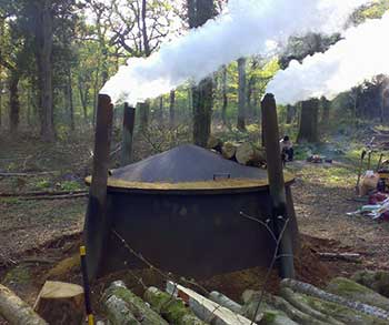 Charcoal burning in silk wood