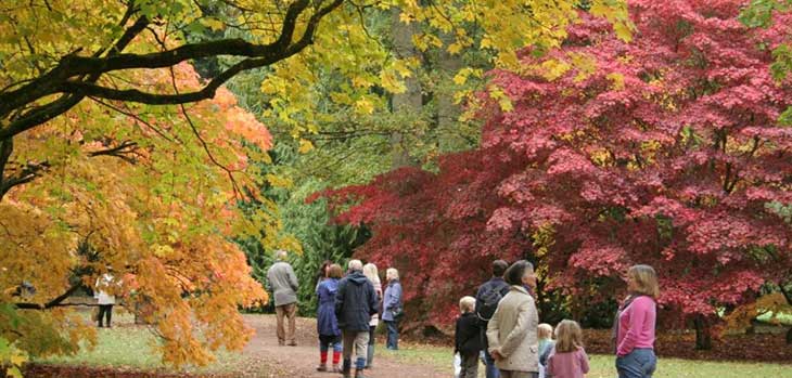 Autumn at Westonbirt Autumn at Westonbirt