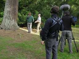 Investigating a Beech tree