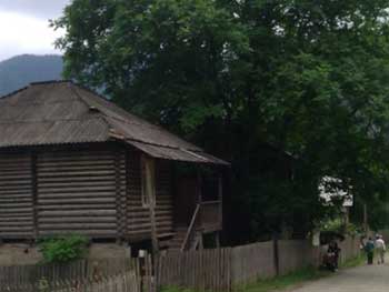 A typical scene of home neighboured by Walnut, providing shade, food and insect repellent