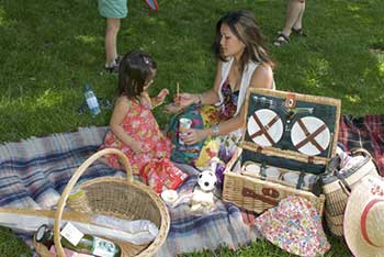 Top tips for picnics