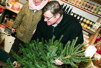 Why do we have a tree indoors at Christmas time?