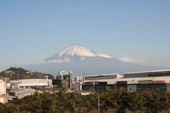Renewing Westonbirt's links with Japan (part 4) - Mount Fuji