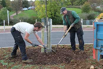 Planting the Car Park...