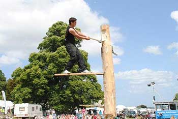 600 metres marked out...it must be Treefest!