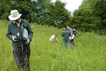 Westonbirt Arboretum Downs Vegetation Survey