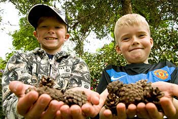 Treefest: our new-look festival