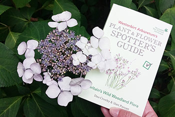 Plant and Flower Spotter’s Guide