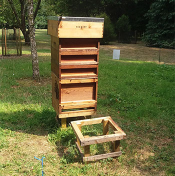 Discover this apiary on your next visit to the arboretum