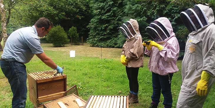 Chloe (Project Officer), Alice (Volunteering Administration Officer) and Karen (Community Project Coordinator) find out about the bees at Westonbirt Arboretum this summer