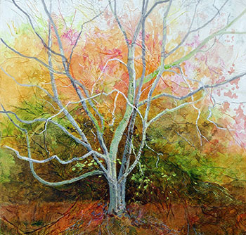 Exhibition: 'Picturing Nature' Exhibition: 'Picturing Nature'
