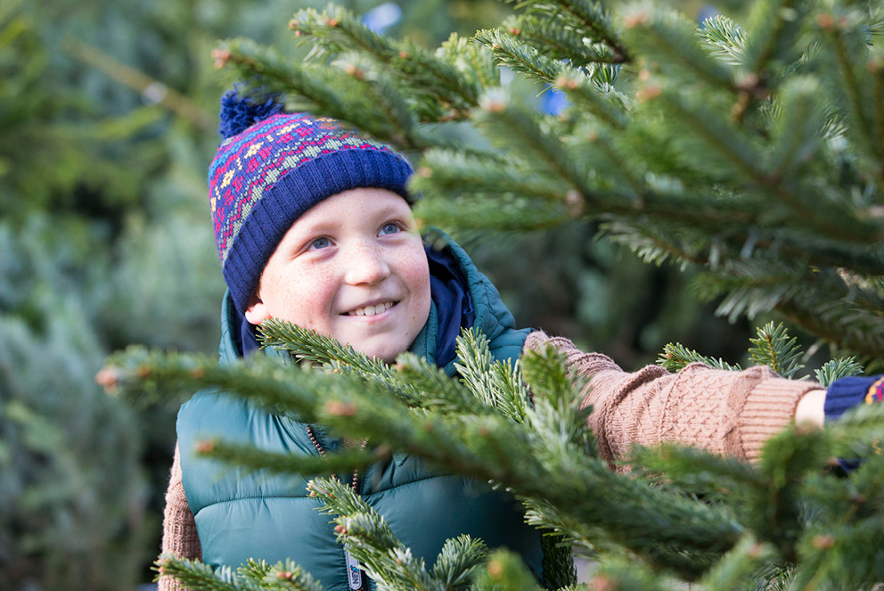 How did Christmas trees start?