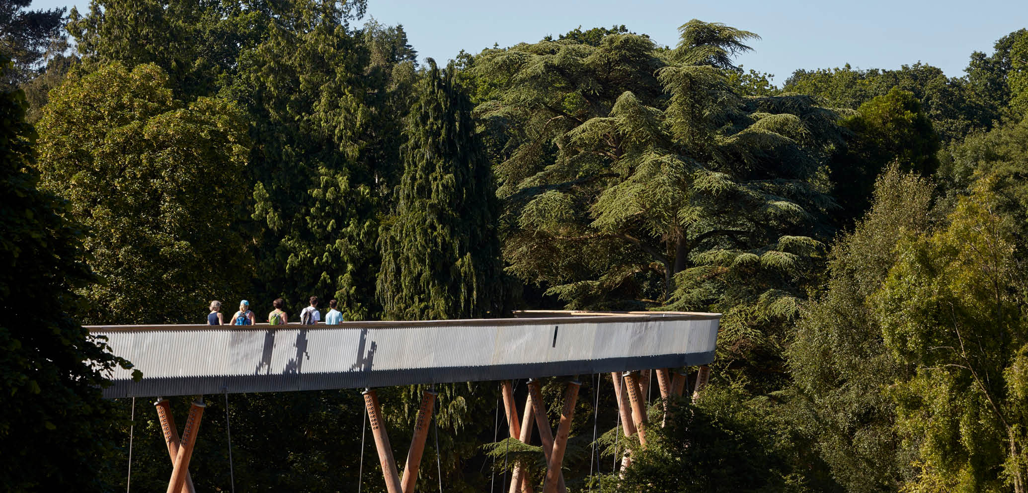 STIHL Treetop Walkway STIHL Treetop Walkway