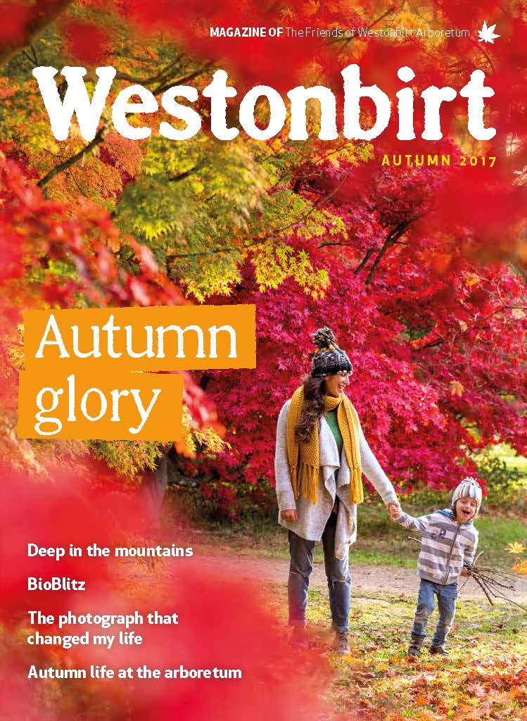 Westonbirt Magazine Autumn 2017