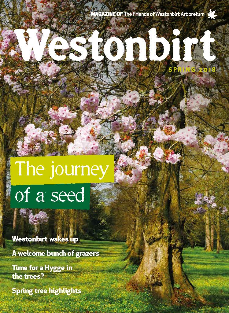 Westonbirt Magazine Spring 2018